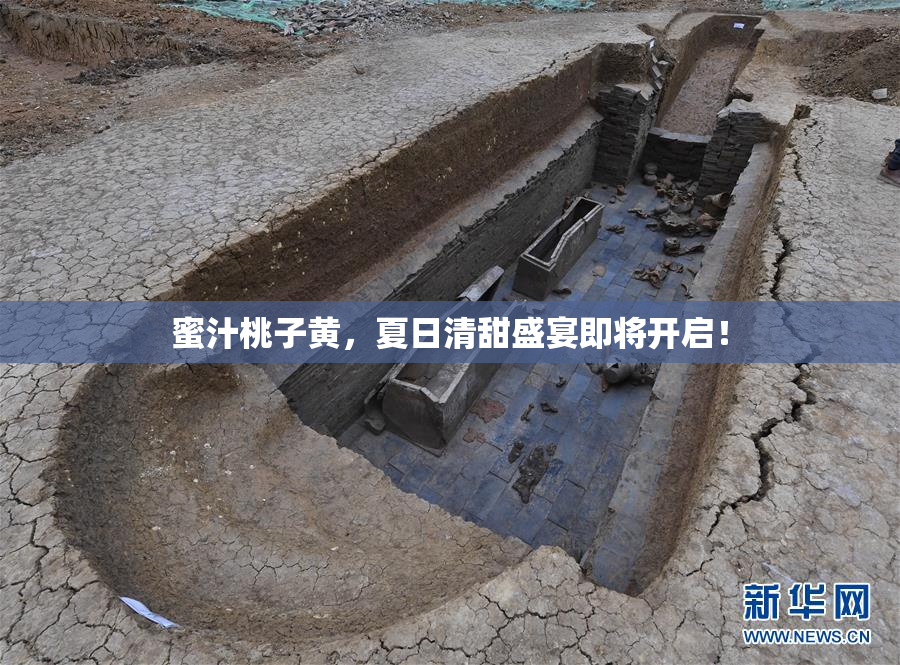 蜜汁桃子黄，夏日清甜盛宴即将开启！