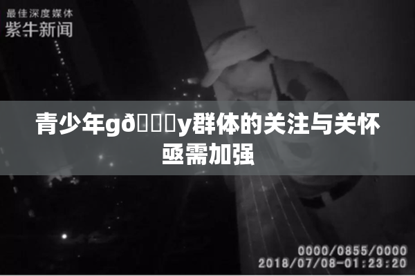 青少年g🈚y群体的关注与关怀亟需加强
