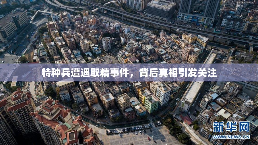 特种兵遭遇取精事件，背后真相引发关注