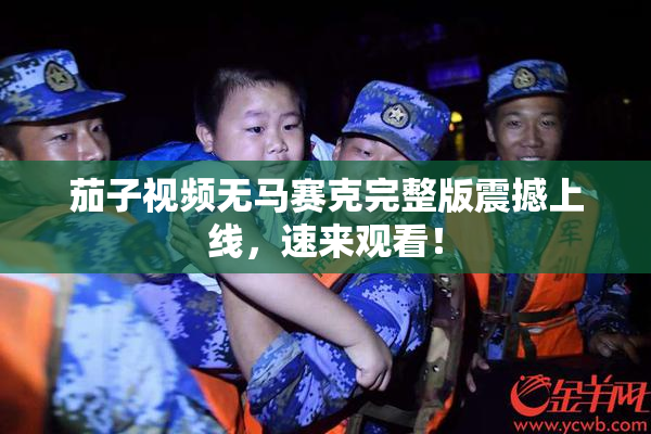 茄子视频无马赛克完整版震撼上线，速来观看！
