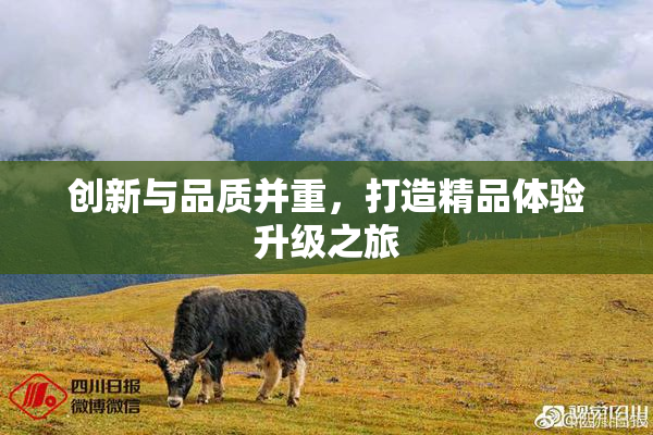 创新与品质并重，打造精品体验升级之旅
