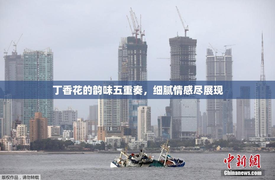 丁香花的韵味五重奏，细腻情感尽展现