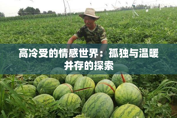 高冷受的情感世界：孤独与温暖并存的探索