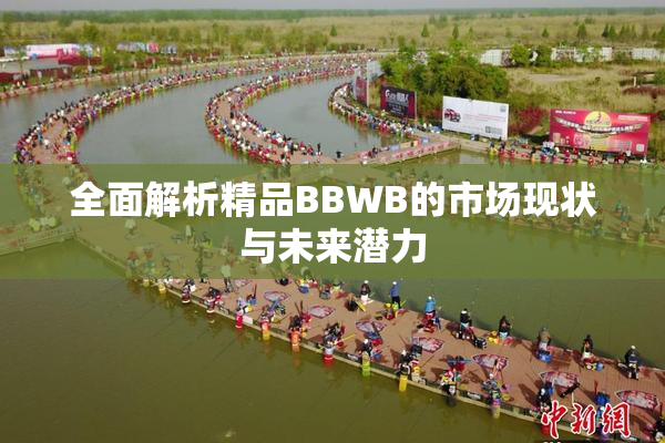 全面解析精品BBWB的市场现状与未来潜力