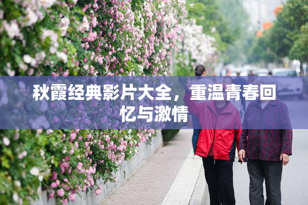 秋霞经典影片大全，重温青春回忆与激情