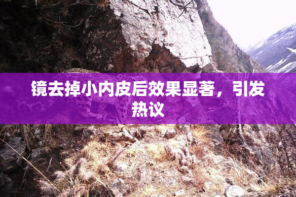 镜去掉小内皮后效果显著，引发热议