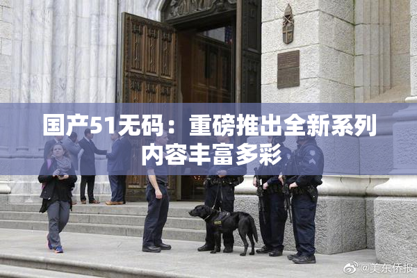 国产51无码：重磅推出全新系列 内容丰富多彩