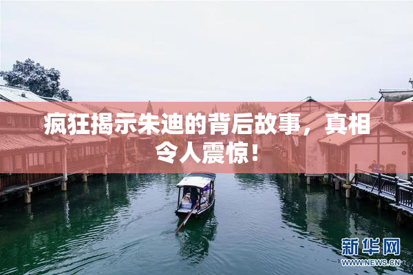 疯狂揭示朱迪的背后故事，真相令人震惊！