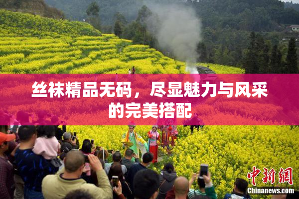 丝袜精品无码，尽显魅力与风采的完美搭配
