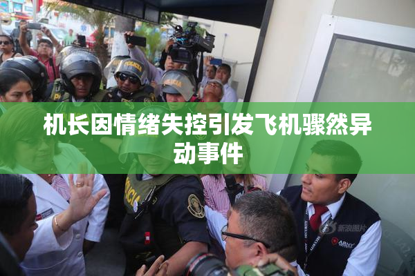 机长因情绪失控引发飞机骤然异动事件