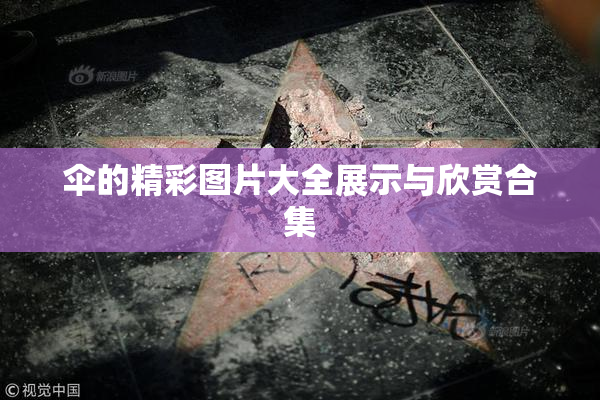 伞的精彩图片大全展示与欣赏合集