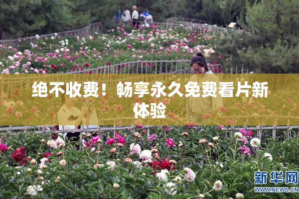 绝不收费！畅享永久免费看片新体验
