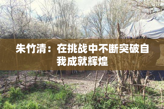 朱竹清：在挑战中不断突破自我成就辉煌