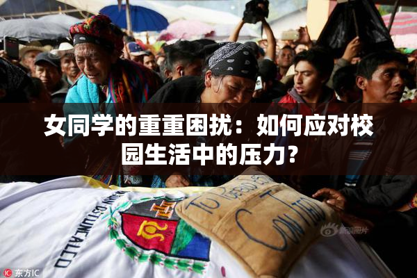 女同学的重重困扰：如何应对校园生活中的压力？