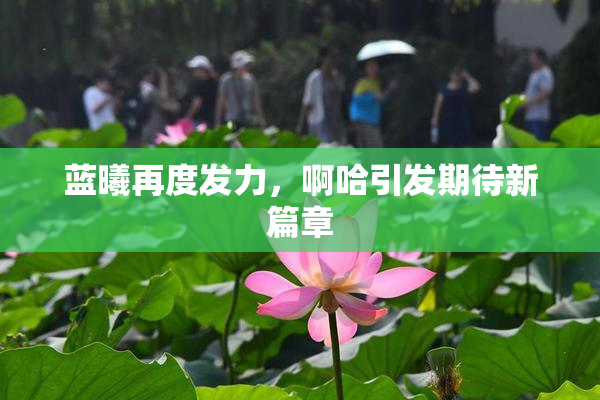蓝曦再度发力，啊哈引发期待新篇章