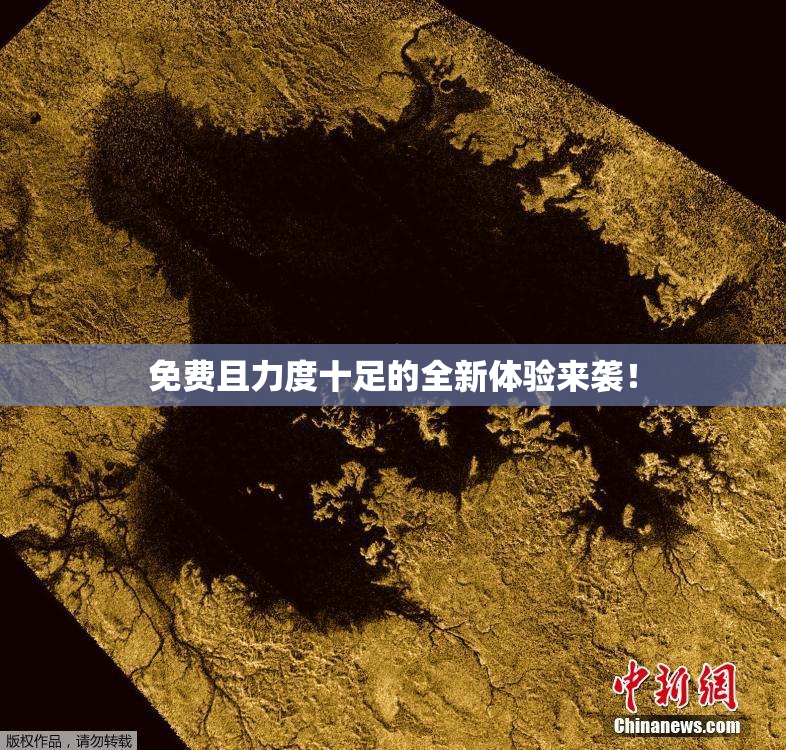 免费且力度十足的全新体验来袭！