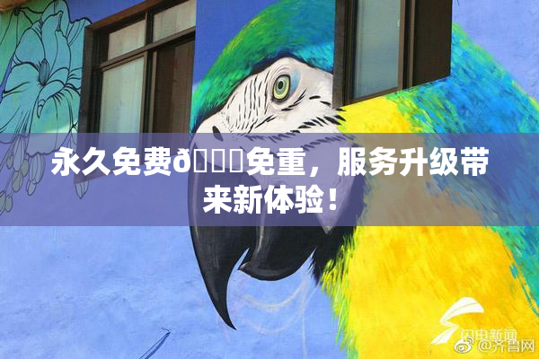 永久免费🔞免重，服务升级带来新体验！