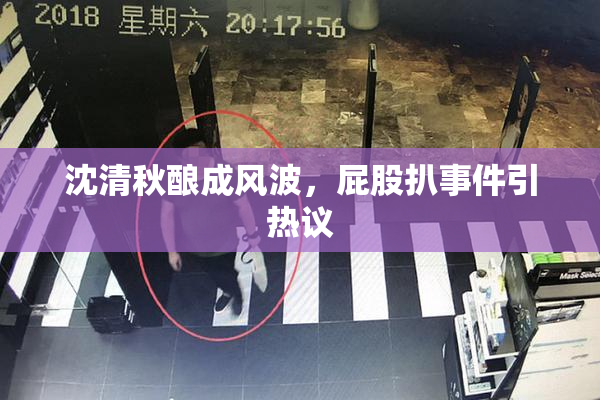 沈清秋酿成风波，屁股扒事件引热议