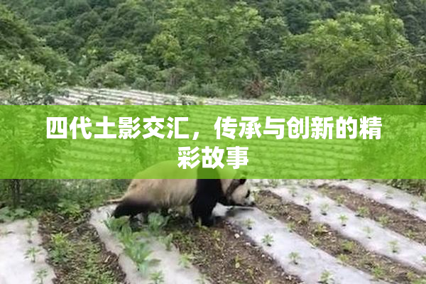 四代土影交汇，传承与创新的精彩故事