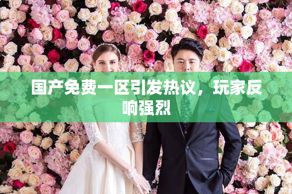 国产免费一区引发热议，玩家反响强烈