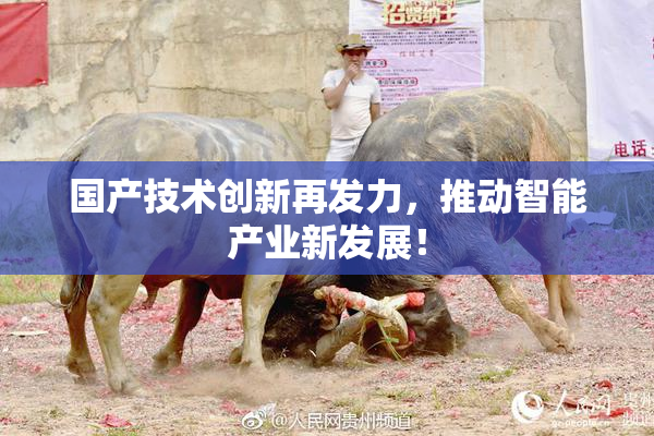 国产技术创新再发力，推动智能产业新发展！