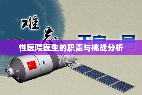 性医院医生的职责与挑战分析