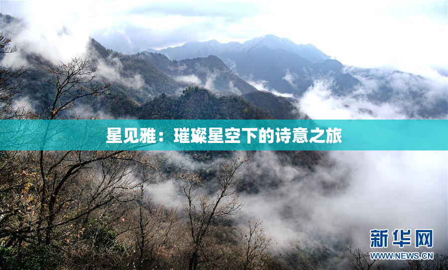 星见雅：璀璨星空下的诗意之旅