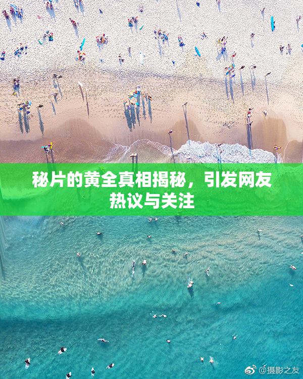 秘片的黄全真相揭秘，引发网友热议与关注