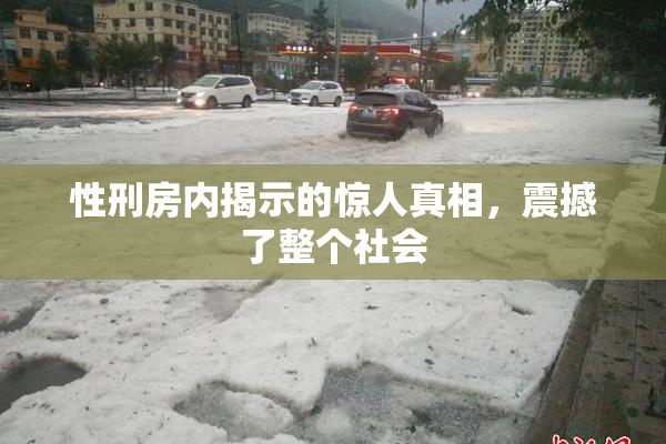 性刑房内揭示的惊人真相，震撼了整个社会