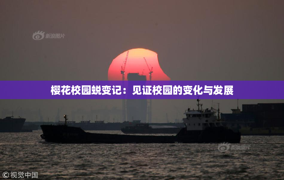 樱花校园蜕变记：见证校园的变化与发展