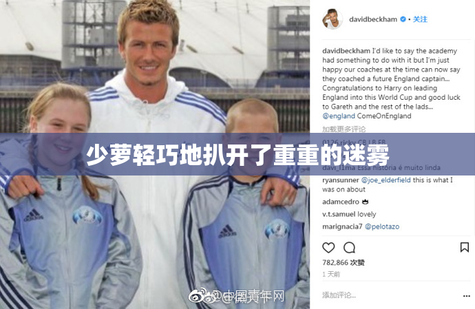 少萝轻巧地扒开了重重的迷雾