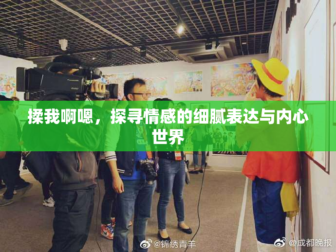 揉我啊嗯，探寻情感的细腻表达与内心世界