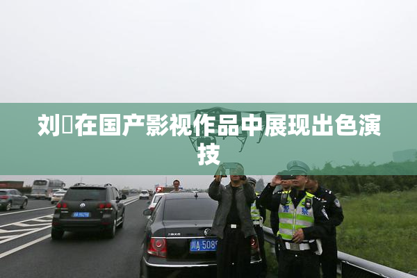 刘玥在国产影视作品中展现出色演技