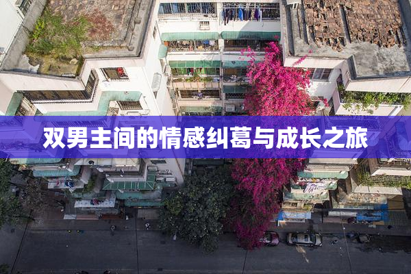 双男主间的情感纠葛与成长之旅