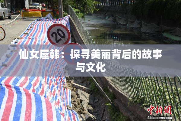 仙女屋韩：探寻美丽背后的故事与文化
