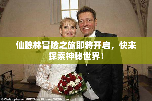 仙踪林冒险之旅即将开启，快来探索神秘世界！
