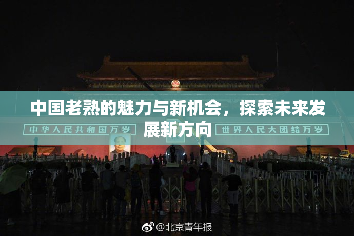 中国老熟的魅力与新机会，探索未来发展新方向