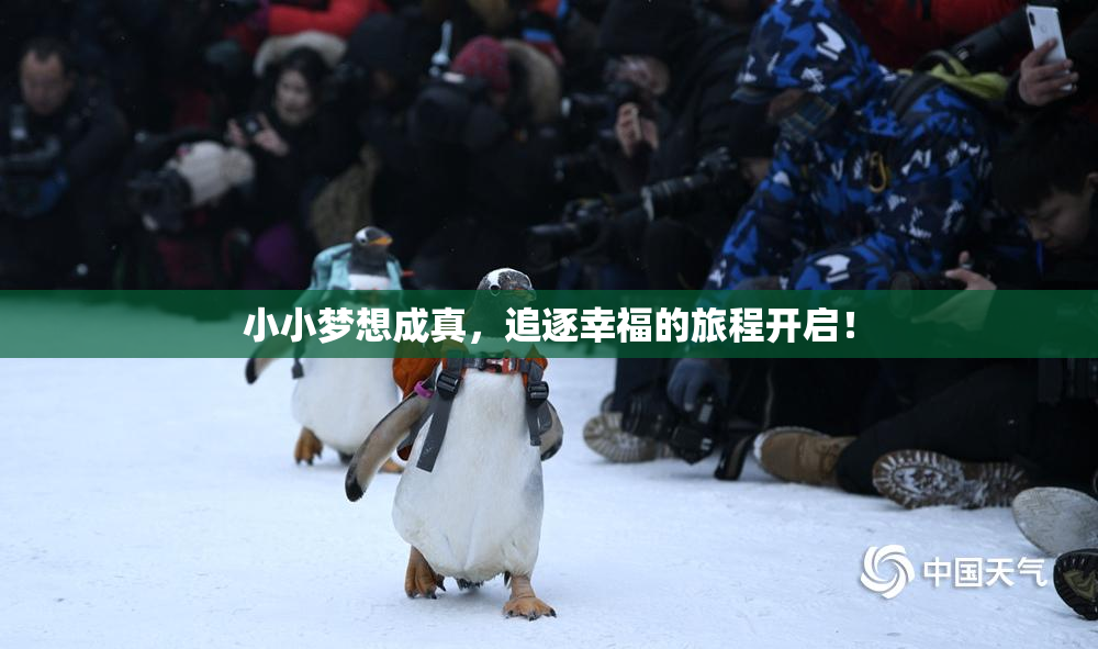 小小梦想成真，追逐幸福的旅程开启！