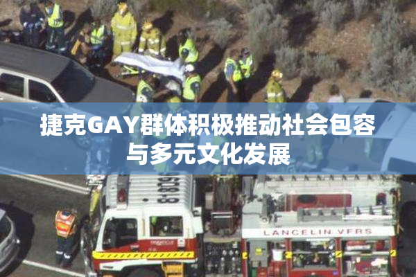 捷克GAY群体积极推动社会包容与多元文化发展