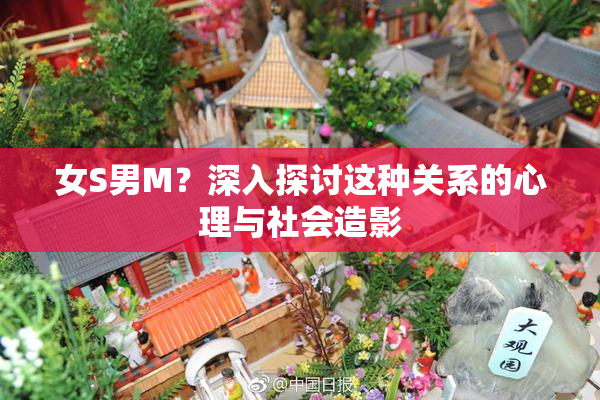 女S男M？深入探讨这种关系的心理与社会造影