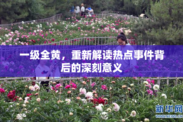 一级全黄，重新解读热点事件背后的深刻意义