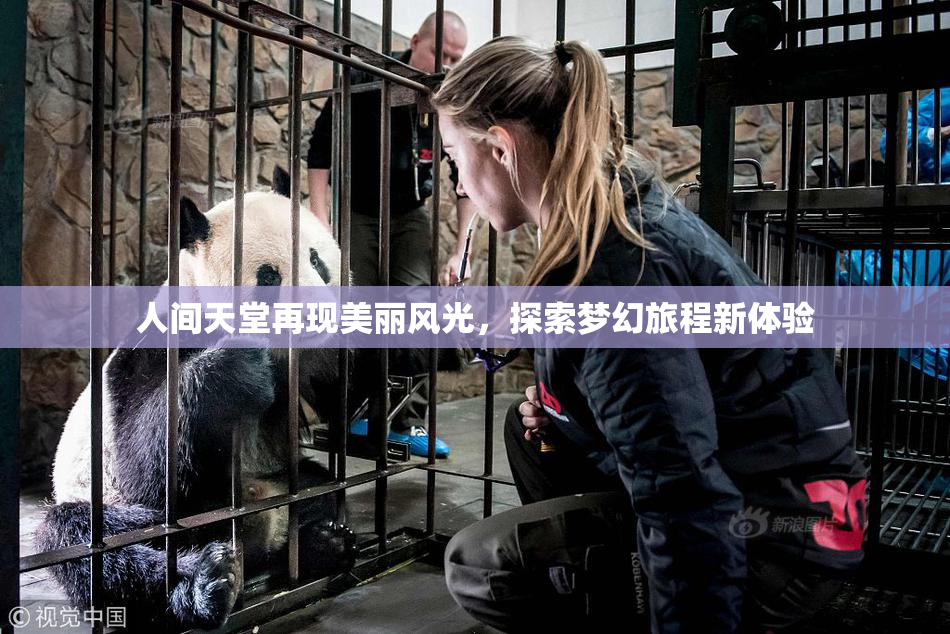 人间天堂再现美丽风光，探索梦幻旅程新体验