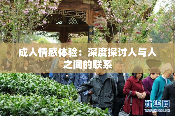 成人情感体验：深度探讨人与人之间的联系