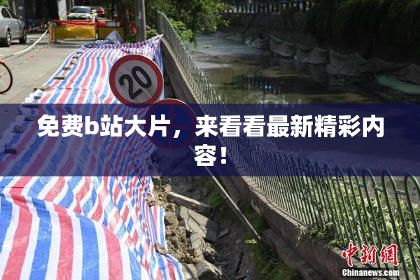 免费b站大片，来看看最新精彩内容！