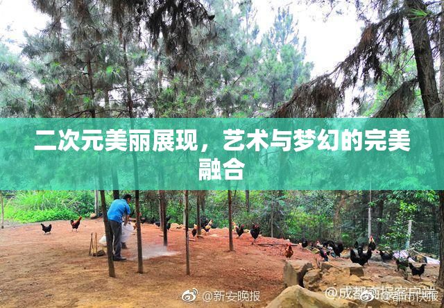 二次元美丽展现，艺术与梦幻的完美融合