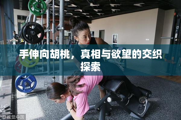 手伸向胡桃，真相与欲望的交织探索