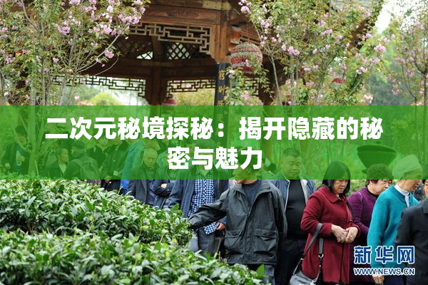 二次元秘境探秘：揭开隐藏的秘密与魅力