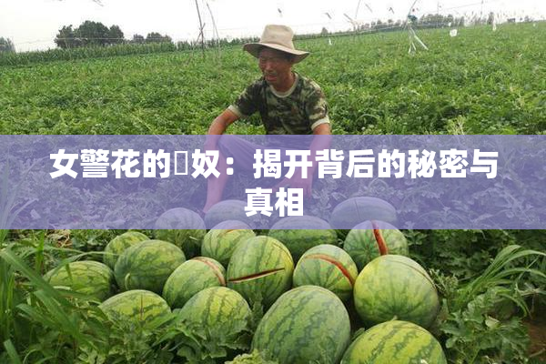 女警花的婬奴：揭开背后的秘密与真相