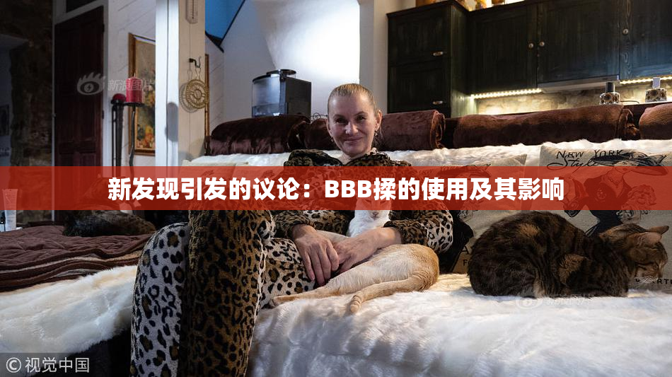 新发现引发的议论：BBB揉的使用及其影响
