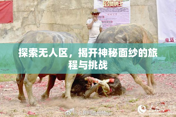 探索无人区，揭开神秘面纱的旅程与挑战